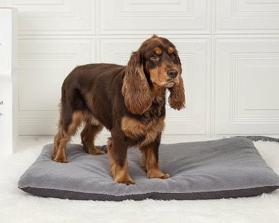 Tapis pour chien - Tapis pour chien - Réconfort | Moelleux et chaud - Vivre avec son chien