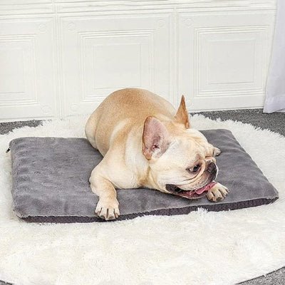 Tapis pour chien - Tapis pour chien - Réconfort | Moelleux et chaud - Vivre avec son chien