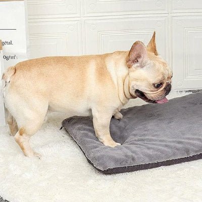 Tapis pour chien - Tapis pour chien - Réconfort | Moelleux et chaud - Vivre avec son chien