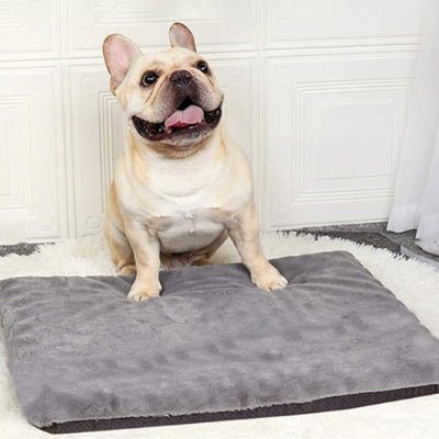 Tapis pour chien - Tapis pour chien - Réconfort | Moelleux et chaud - Vivre avec son chien