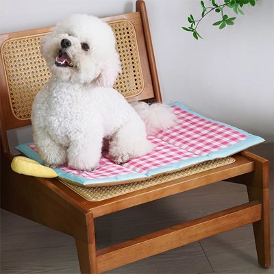 Tapis rafraichissant chien - Tapis Rafraichissant Chien - Blizzard | Fraîcheur active - Vivre avec son chien