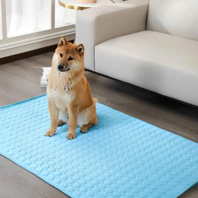 Tapis rafraichissant chien - Tapis rafraichissant chien - Givre | Fraîcheur d’été - Vivre avec son chien