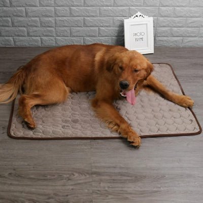Tapis rafraichissant chien - Tapis rafraichissant chien - Givre | Fraîcheur d’été - Vivre avec son chien
