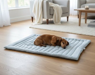 Tapis rafraichissant chien - Tapis rafraichissant chien - Givre | Fraîcheur d’été - Vivre avec son chien