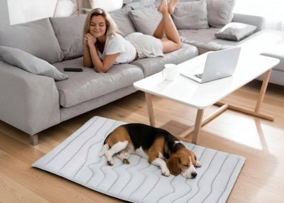 Tapis rafraichissant chien - Tapis rafraichissant chien - Givre | Fraîcheur d’été - Vivre avec son chien