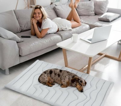 Tapis rafraichissant chien - Tapis rafraichissant chien - Givre | Fraîcheur d’été - Vivre avec son chien