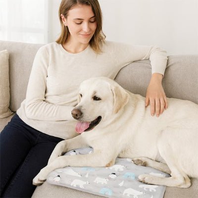 Tapis rafraichissant chien - Tapis rafraichissant pour chien - Cryo | Confort d’été - Vivre avec son chien