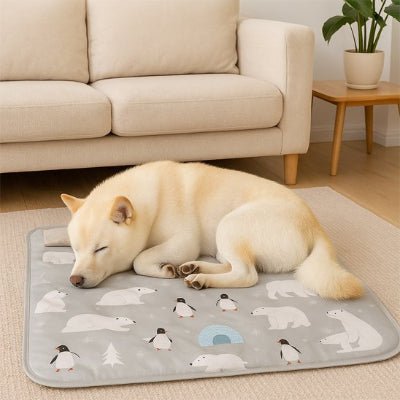 Tapis rafraichissant chien - Tapis rafraichissant pour chien - Cryo | Confort d’été - Vivre avec son chien
